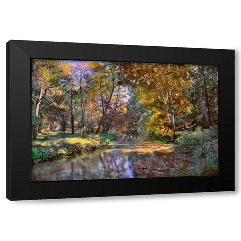 Autumn in The Afternoon Black Modern Wood Framed Art Print by Rivera, John