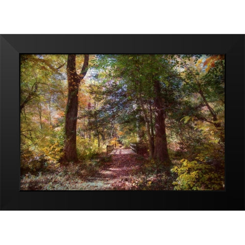 Berlin Park Black Modern Wood Framed Art Print by Rivera, John