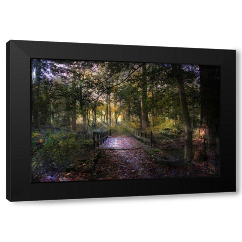 Beyond The Wooden Bridge Black Modern Wood Framed Art Print with Double Matting by Rivera, John