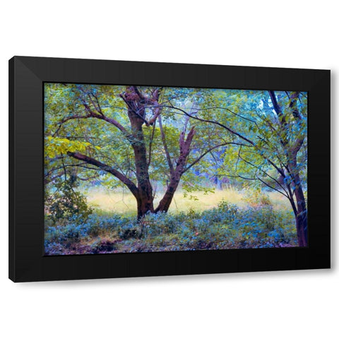 Forgotten Day Dreams Black Modern Wood Framed Art Print with Double Matting by Rivera, John
