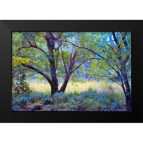 Forgotten Day Dreams Black Modern Wood Framed Art Print by Rivera, John