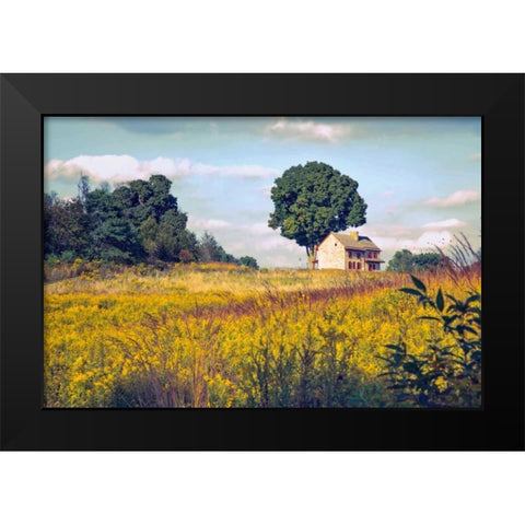 House on a Hill Black Modern Wood Framed Art Print by Rivera, John