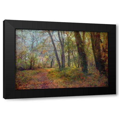 Poetic Season Black Modern Wood Framed Art Print with Double Matting by Rivera, John