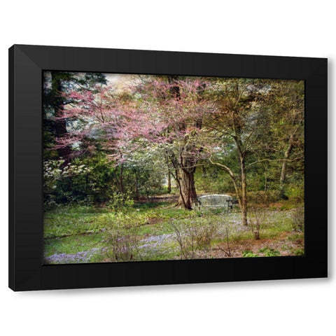 Spring Black Modern Wood Framed Art Print by Rivera, John