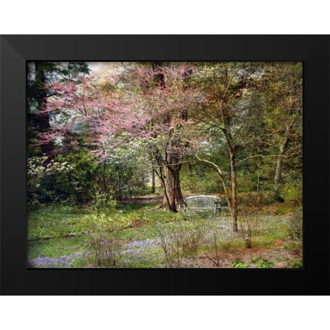 Spring Black Modern Wood Framed Art Print by Rivera, John