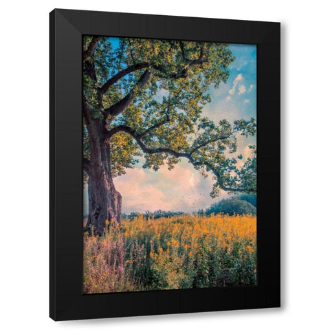 Where I Daydream Black Modern Wood Framed Art Print with Double Matting by Rivera, John