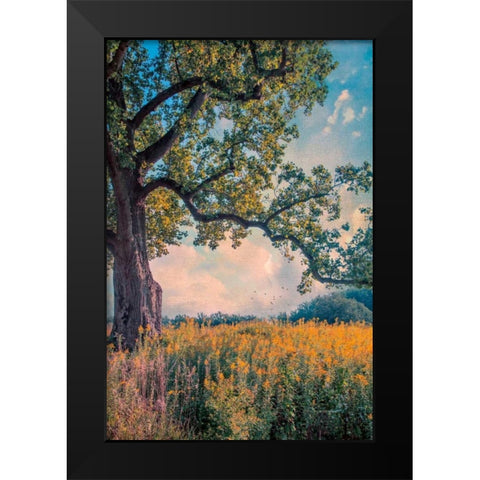Where I Daydream Black Modern Wood Framed Art Print by Rivera, John