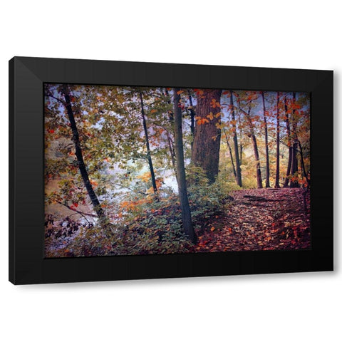 Season of Colors Black Modern Wood Framed Art Print by Rivera, John