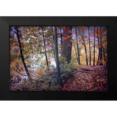 Season of Colors Black Modern Wood Framed Art Print by Rivera, John
