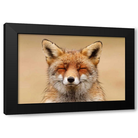 Zen Fox Red Portrait Black Modern Wood Framed Art Print by Raimond, Roeselien
