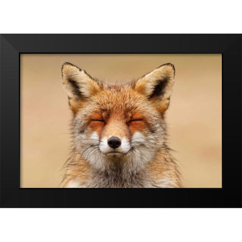 Zen Fox Red Portrait Black Modern Wood Framed Art Print by Raimond, Roeselien