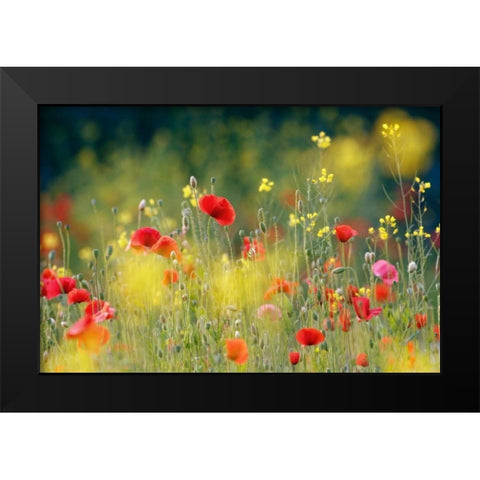 Just a Perfect Day Black Modern Wood Framed Art Print by Raimond, Roeselien