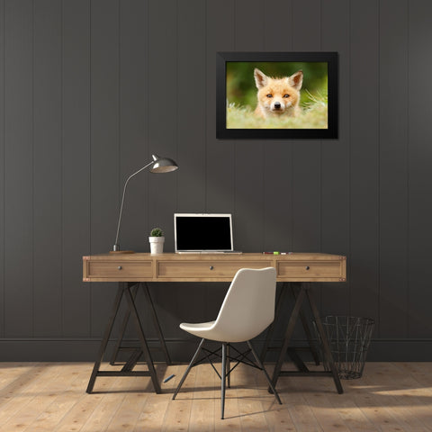Bad Fur Day Black Modern Wood Framed Art Print by Raimond, Roeselien