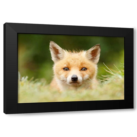 Bad Fur Day Black Modern Wood Framed Art Print with Double Matting by Raimond, Roeselien