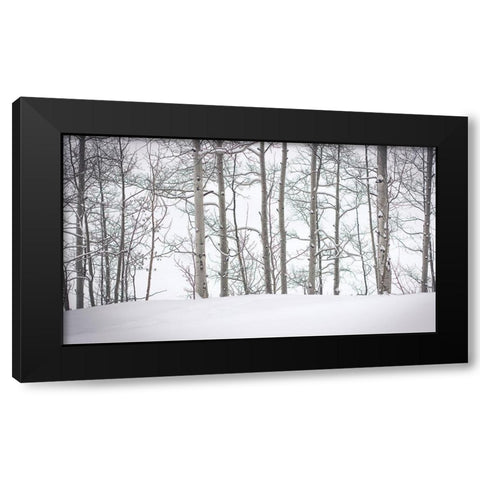 Behind Cloister Doors Black Modern Wood Framed Art Print by Rogers, Eunika