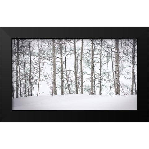 Behind Cloister Doors Black Modern Wood Framed Art Print by Rogers, Eunika