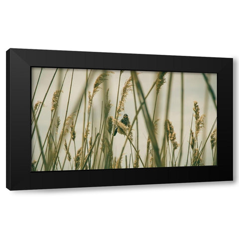 Even The Skies Have Limits Black Modern Wood Framed Art Print by Rogers, Eunika