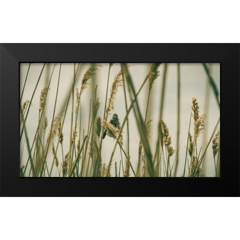 Even The Skies Have Limits Black Modern Wood Framed Art Print by Rogers, Eunika