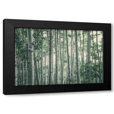 Obscured By Alters Black Modern Wood Framed Art Print by Rogers, Eunika