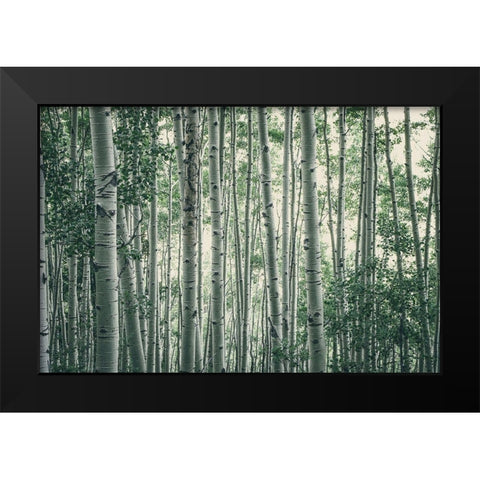 Obscured By Alters Black Modern Wood Framed Art Print by Rogers, Eunika