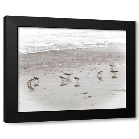 Sandpipers Black Modern Wood Framed Art Print by Ryan, Brooke T.