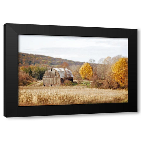 Barn And Beehives Black Modern Wood Framed Art Print by Ryan, Brooke T.