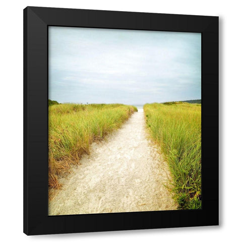 Beach Trail Black Modern Wood Framed Art Print by Ryan, Brooke T.