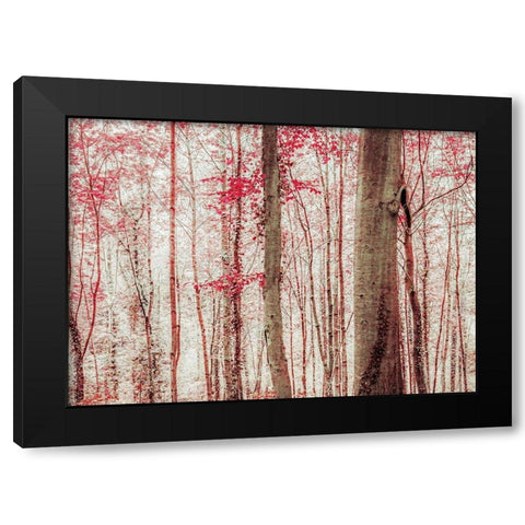 Pink And Brown Fantasy Forest Black Modern Wood Framed Art Print with Double Matting by Ryan, Brooke T.