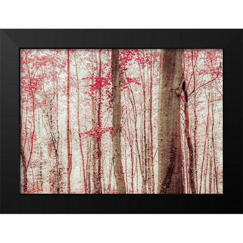 Pink And Brown Fantasy Forest Black Modern Wood Framed Art Print by Ryan, Brooke T.