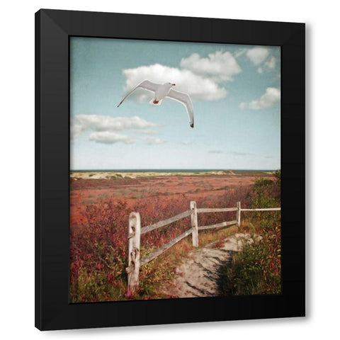 Gull over Coastal Trail Black Modern Wood Framed Art Print with Double Matting by Ryan, Brooke T.