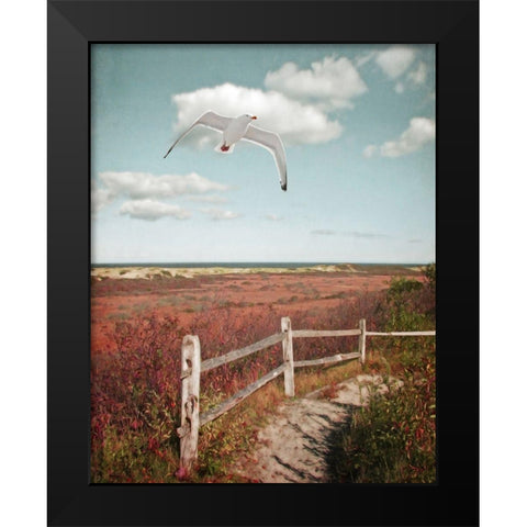 Gull over Coastal Trail Black Modern Wood Framed Art Print by Ryan, Brooke T.