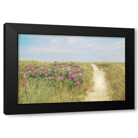 Beach Roses Black Modern Wood Framed Art Print with Double Matting by Ryan, Brooke T.