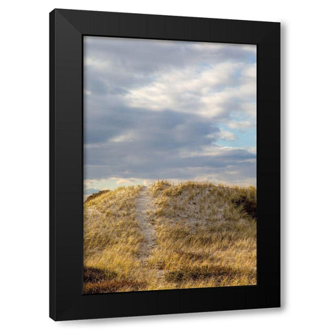 Dunes Trail Black Modern Wood Framed Art Print with Double Matting by Ryan, Brooke T.