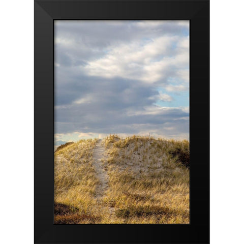 Dunes Trail Black Modern Wood Framed Art Print by Ryan, Brooke T.