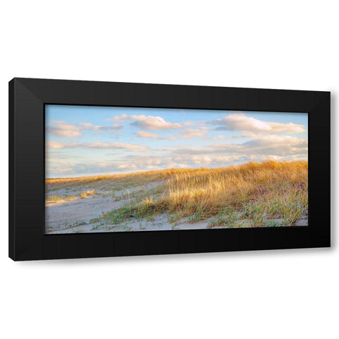 Grassy Dunes Panorama Black Modern Wood Framed Art Print by Ryan, Brooke T.