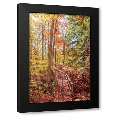 Forest Bridge Black Modern Wood Framed Art Print by Ryan, Brooke T.
