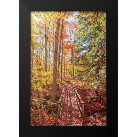 Forest Bridge Black Modern Wood Framed Art Print by Ryan, Brooke T.