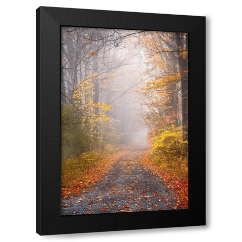 Road and Autumn Mist Black Modern Wood Framed Art Print with Double Matting by Ryan, Brooke T.