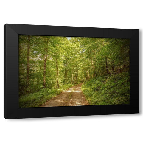 Forest Road Black Modern Wood Framed Art Print by Ryan, Brooke T.