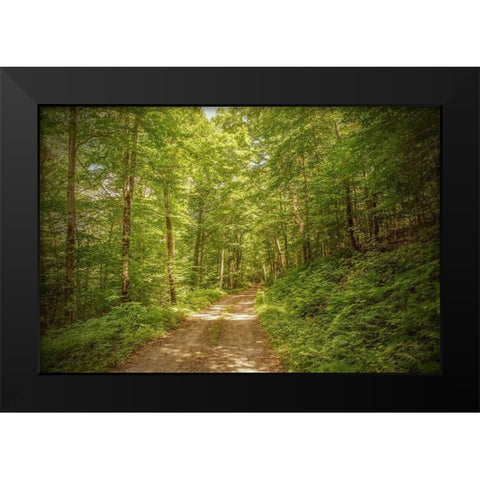 Forest Road Black Modern Wood Framed Art Print by Ryan, Brooke T.
