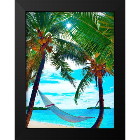 Coconut Sun Black Modern Wood Framed Art Print by Reed, Jack