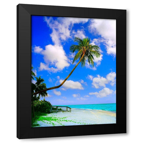 Sanibel Island Black Modern Wood Framed Art Print with Double Matting by Reed, Jack