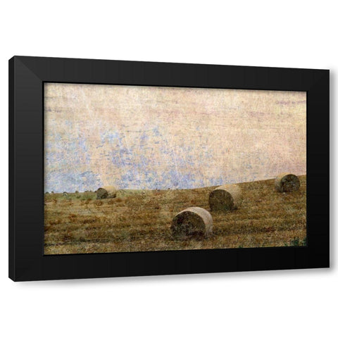 Dunnotar Fields Black Modern Wood Framed Art Print with Double Matting by Ruest, Liz