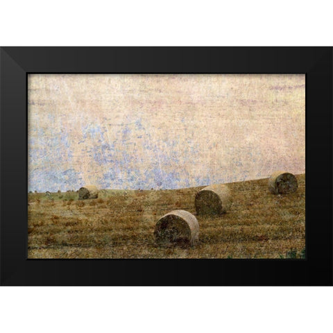 Dunnotar Fields Black Modern Wood Framed Art Print by Ruest, Liz