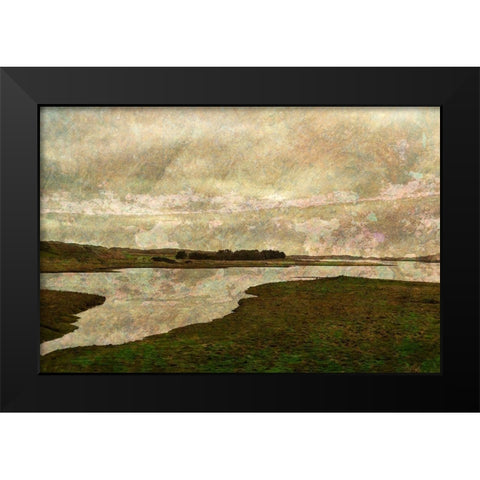Forvie Reserve Black Modern Wood Framed Art Print by Ruest, Liz