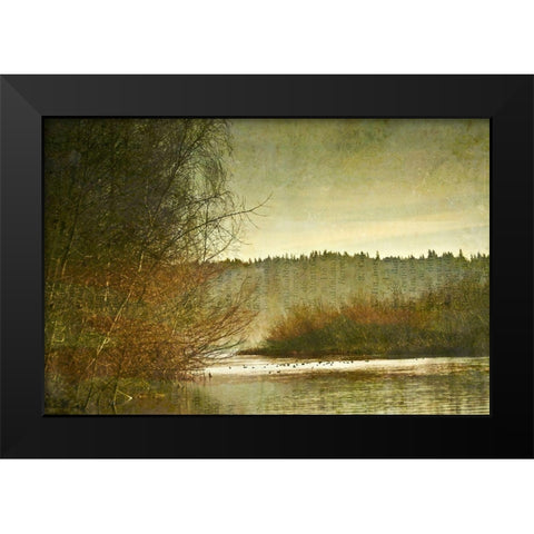 Marymoor Moment Black Modern Wood Framed Art Print by Ruest, Liz