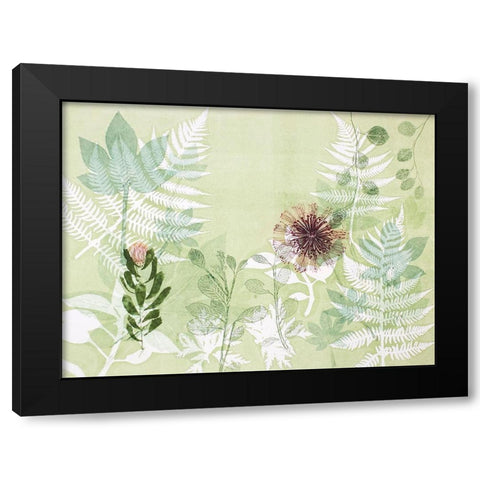 A Myriad Celebration of Plants Black Modern Wood Framed Art Print with Double Matting by Rice, Trudy