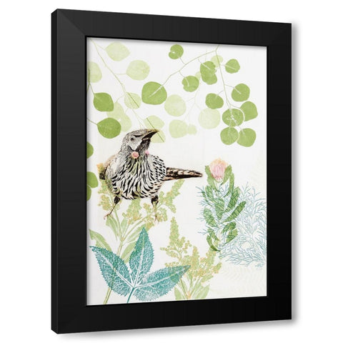Wattlebird and Pincushion Protea Black Modern Wood Framed Art Print with Double Matting by Rice, Trudy