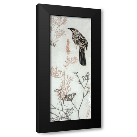 Wattlebird Hovering In My Garden Black Modern Wood Framed Art Print with Double Matting by Rice, Trudy
