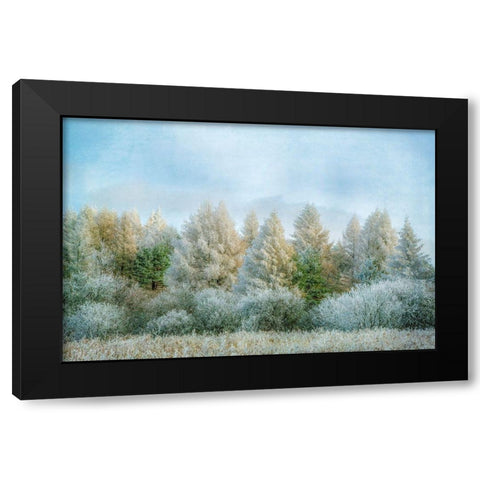 Winter Wonderland Black Modern Wood Framed Art Print with Double Matting by Ryan, Brooke T.